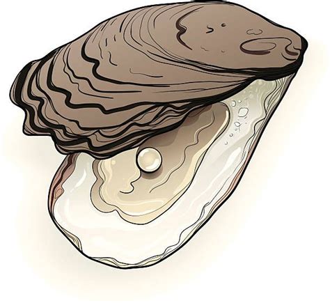Clip art oyster - Are you a seafood lover who craves the taste of fresh, succulent oysters? If so, you’ll be delighted to know that there are now several online sources that can deliver these delect...